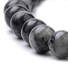 Natural Larvikite Beads Strands G-S259-06-8mm-3