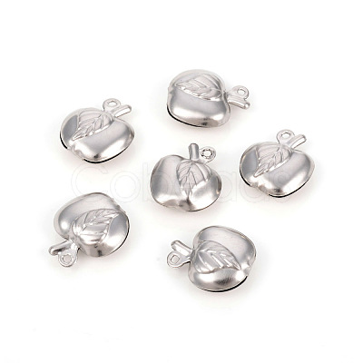 Non-Tarnish 304 Stainless Steel Charms STAS-L244-12P-1