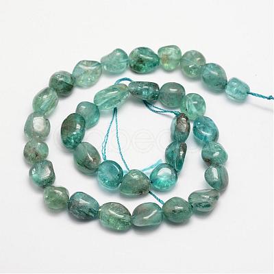 Natural Apatite Bead Strands G-L459-13-1