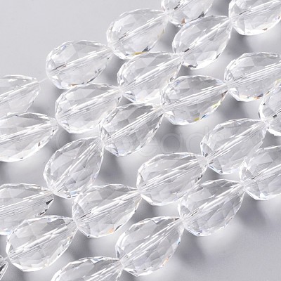 Glass Bead Strands EGLA-J139-NA01-1