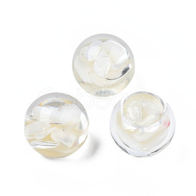 Transparent Acrylic Cabochons TACR-N006-77C-02-1
