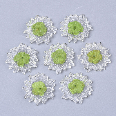 Transparent Clear Epoxy Resin Cabochons LS-CRES-N025-02C-1