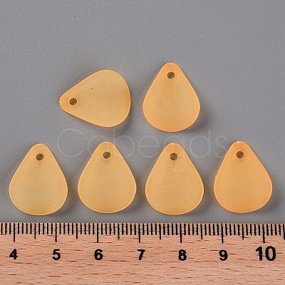 Transparent Frosted Acrylic Pendants MACR-S371-09A-719-1
