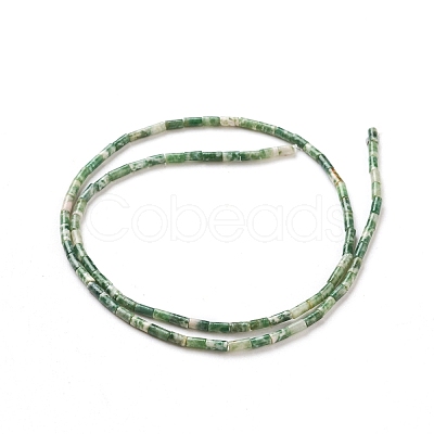 Natural Green Spot Jasper Beads Strands G-G783-11-1