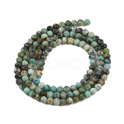 Natural African Turquoise(Jasper) Beads Strands G-P472-01-1