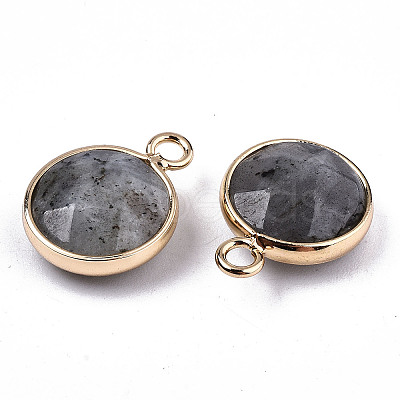 Natural Labradorite Pendants X-G-T131-101A-1
