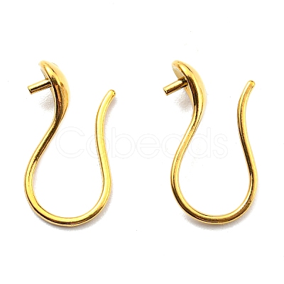 316 Surgical Stainless Steel Earring Hooks X-STAS-G310-02G-1