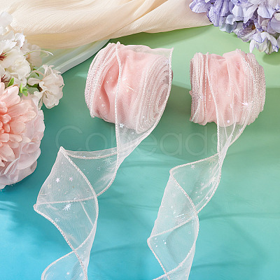 Polyester Deco Mesh Ribbons OCOR-TAC0024-004D-1
