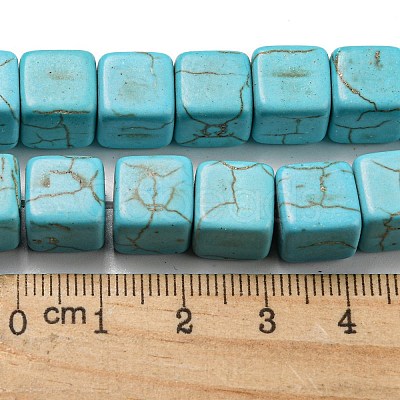 Dyed Synthetic Turquoise Beads Strands G-G075-B02-01-1