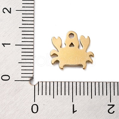 Ion Plating(IP) 201 Stainless Steel Charms STAS-A101-01A-01G-1