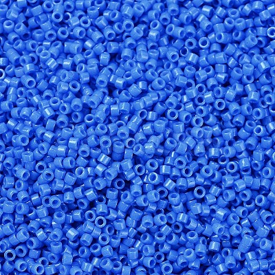 MIYUKI Delica Beads X-SEED-J020-DB2134-1