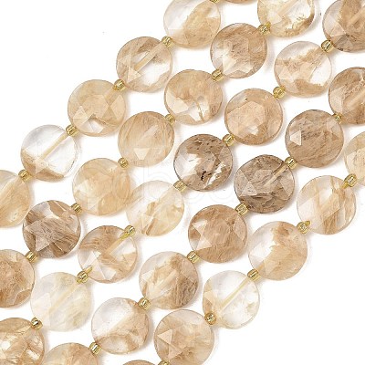 Coffee Watermelon Stone Glass Beads Strands G-A292-A04-01-1