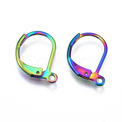 304 Stainless Steel Leverback Earring Findings X-STAS-N092-105-NR-1