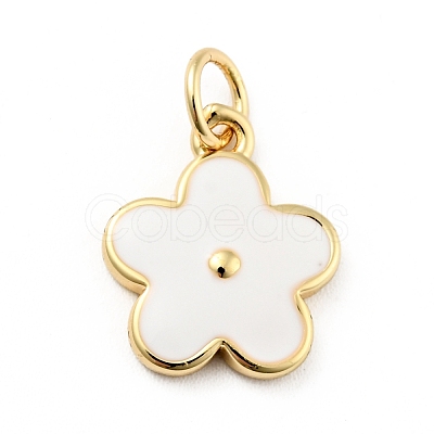 Rack Plating Brass Enamel Charms KK-G387-09G-1