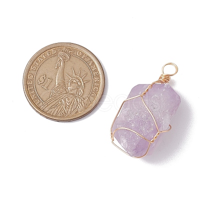 Raw Rough Natural Amethyst Copper Wire Wrapped Pendants PALLOY-JF02787-01-1