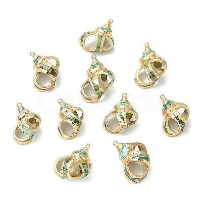 5Pcs Natural Sea Shell Pendants SSHEL-YW0001-11-1