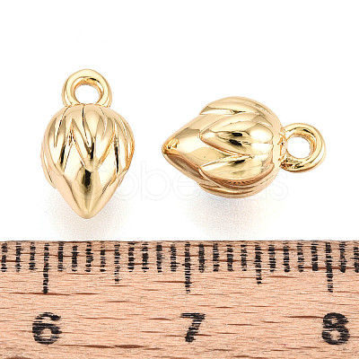 Brass Charms KK-N263-116B-G-1