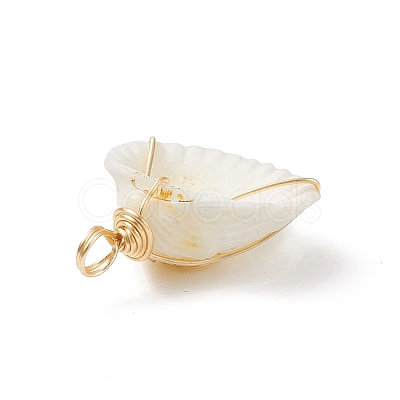 Natural Spiral Shell Copper Wire Wrapped Pendants PALLOY-TA00015-1