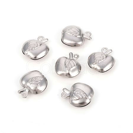 Non-Tarnish 304 Stainless Steel Charms STAS-L244-12P-1