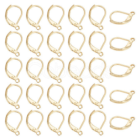 Unicraftale 304 Stainless Steel Leverback Earring Findings STAS-UN0003-40G-1