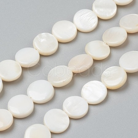 Natural Freshwater Shell Beads BSHE-I011-01D-02-1