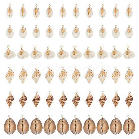 60Pcs 6 Style Natural Shell Pendants PALLOY-ME00019-1