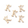 304 Stainless Steel Charms STAS-L263-09G-1