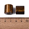 Natural Tiger Eye European Beads G-P520-05C-2