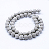 Natural Silver Line Jasper Beads Strands G-F531-10mm-O-3