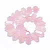 Natural Rose Quartz Beads Strands G-F715-035-2