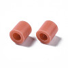 PE Fuse Beads X-DIY-R013-A42-2