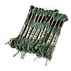 10 Skeins 6-Ply Polyester Embroidery Floss OCOR-K006-A63-1