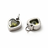 304 Stainless Steel Pendants STAS-D189-06P-04-3