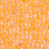Transparent Inside Colours Glass Seed Beads SEED-T007-11G-2