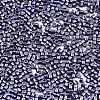 FGB 11/0 Grade A Glass Seed Beads SEED-S030-1214-2