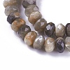 Natural Black Sunstone Beads Strands G-L492-05D-2