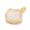 Alloy Resin Pendants FIND-U007-13G-2