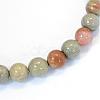 Natural Silver Leaf Jasper Round Bead Strands G-E334-6mm-04-2