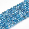 Natural Apatite Beads Strands G-T064-17-3mm-1