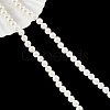 Glass Pearl Beads Strands SHEL-WH0001-009A-1-1