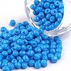 Baking Paint Glass Seed Beads SEED-S003-K17-1