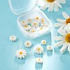 20Pcs 4 Style Natural Freshwater Shell Beads SHEL-LS0001-03-5