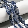 Natural Blue Spot Jasper Beads Strands G-B078-E07-01-2