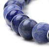 Natural South Africa Sodalite Beads Strands G-S259-35-10mm-4