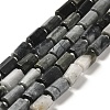 Natural Eagle Eye Stone Beads Strands G-N327-06-08-1