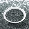 MIYUKI Round Rocailles Beads X-SEED-G007-RR0021-2