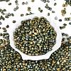 Picasso Glass Seed Beads SEED-N012-10K-2