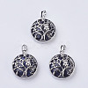 Natural & Synthetic Mixed Stone Pendants G-K234-E-2