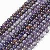 Natural Amethyst Beads Strands G-G779-05-2