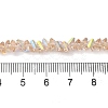 Transparent Glass Beads Strands EGLA-P061-04B-AB02-4
